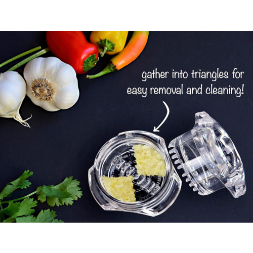 Niche Marketing Garlic Twist Clear