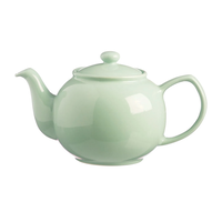 Teapot Pastel Mint 6 Cup