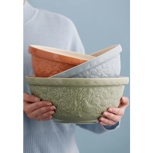 Mason Cash Mason Cash Mixing Bowl Orange Home to Roost 24cm