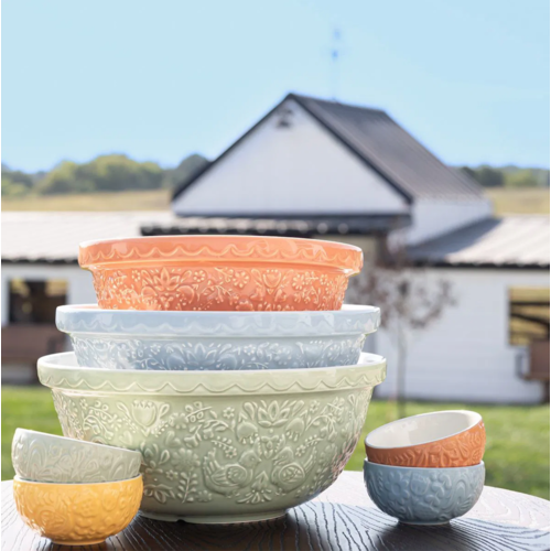 Mason Cash Mason Cash Mixing Bowl Orange Home to Roost 24cm