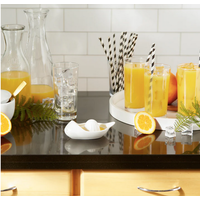 Citrus Juicer Porcelain