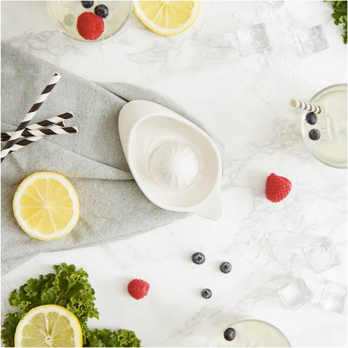 RSVP Citrus Juicer Porcelain