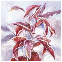 Napkin Cocktail Paper Frosty Branch