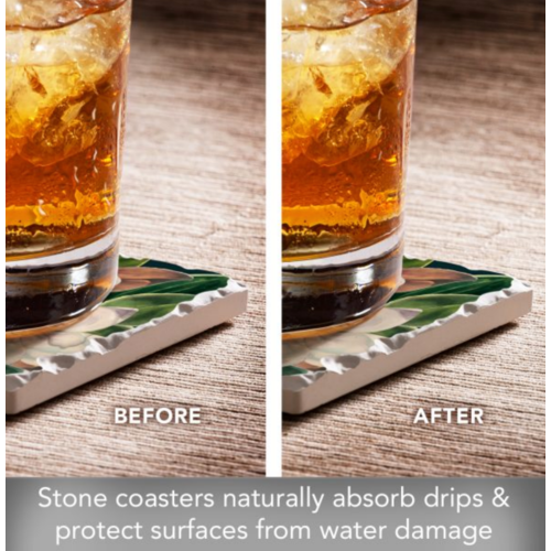 Thirstystone Coasters Coaster Absorbent Magnolia Blossoms Set of 4