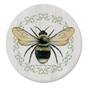 Thirstystone Coasters Coaster Absorbent Round Summer Buzz Set of 4