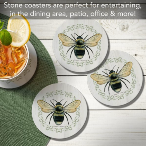 Thirstystone Coasters Coaster Absorbent Round Summer Buzz Set of 4