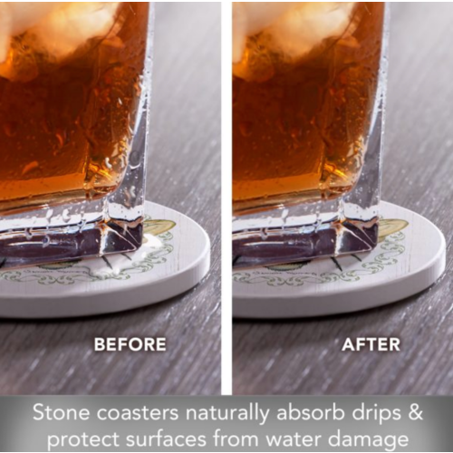Thirstystone Coasters Coaster Absorbent Round Summer Buzz Set of 4