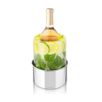 Stainless Steel Ice Bottle Chiller