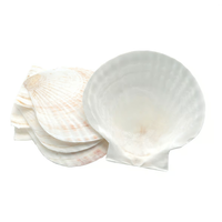 Natural Baking Shells Set of 4