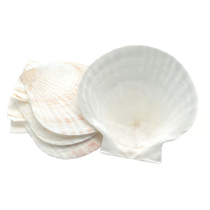 Fox Run Natural Baking Shells Set of 4