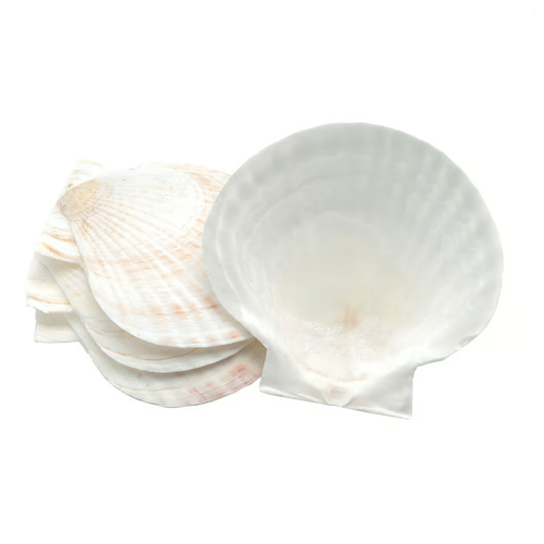 Fox Run Natural Baking Shells Set of 4 Fox Run Natural Baking Shells Set of 4