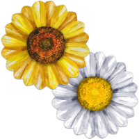 Placemat Reversible Shaped Sunflower