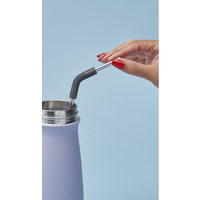 SWELL Stainless Steel Straw