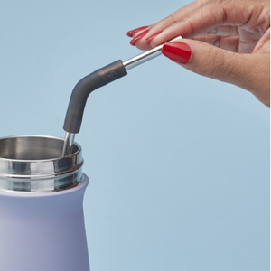 SWELL SWELL Stainless Steel Straw