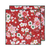 Microfibre Dish Cloth Amarylis Set of 2