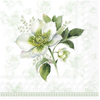 Napkin Cocktail Paper Classic Christmas Rose