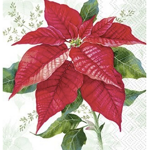 IHR Napkin Guest Paper Classic Poinsettia