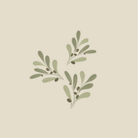 Napkin Dinner Paviot Olivier