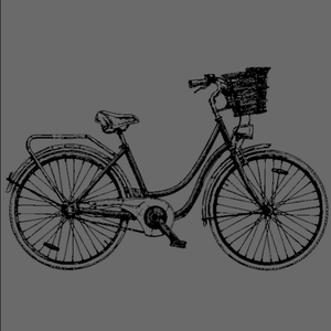 Euroscrubby Swedish Cloth Bicycle