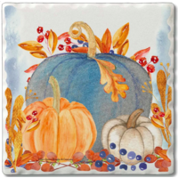 Coaster Absorbent Denim Harvest Set of 4