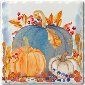 CounterArt Coaster Absorbent Denim Harvest Set of 4
