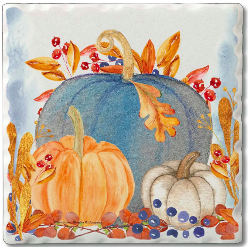 CounterArt Coaster Absorbent Denim Harvest Set of 4