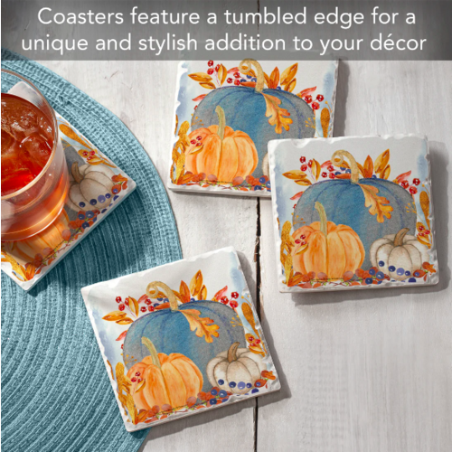 CounterArt Coaster Absorbent Denim Harvest Set of 4