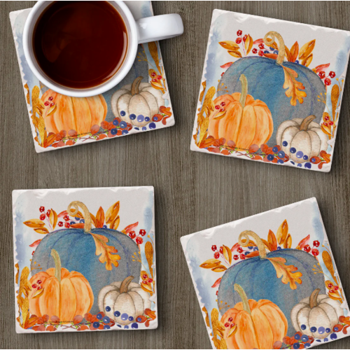 CounterArt Coaster Absorbent Denim Harvest Set of 4
