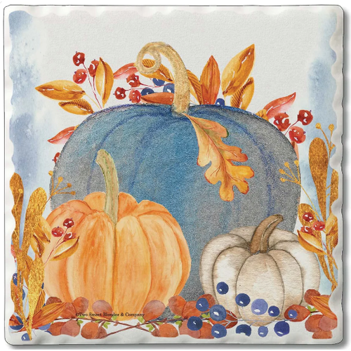 CounterArt Coaster Absorbent Denim Harvest Set of 4