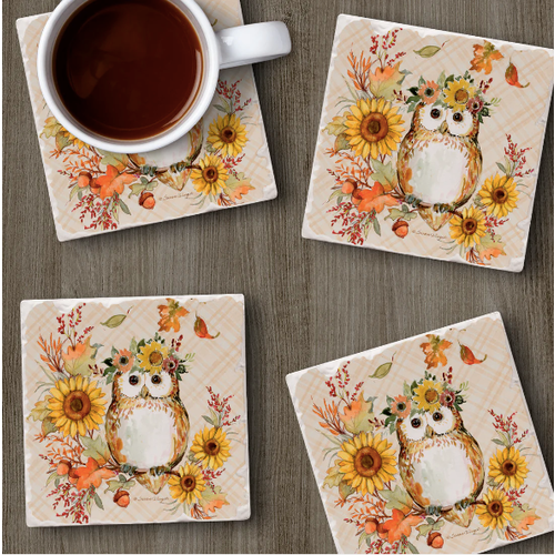CounterArt Coaster Absorbent Friendly Owl Set of 4
