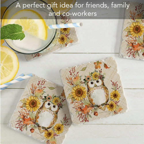 CounterArt Coaster Absorbent Friendly Owl Set of 4