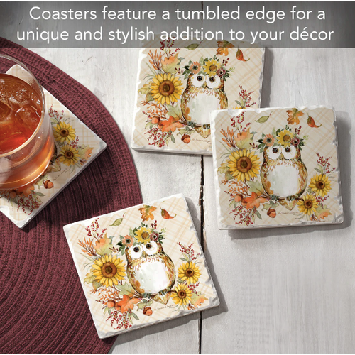 CounterArt Coaster Absorbent Friendly Owl Set of 4