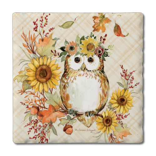 CounterArt Coaster Absorbent Friendly Owl Set of 4
