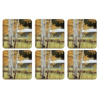 Coasters Birch Beauty Set of 6
