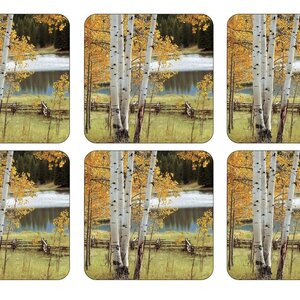 Coasters Birch Beauty Set of 6