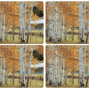 Pimpernel Placemats Birch Beauty Set of 4