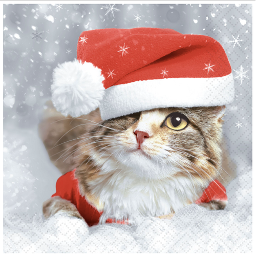 IHR Napkin Lunch Paper Kitten Christmas IHR Napkin Lunch Paper Kitten Christmas