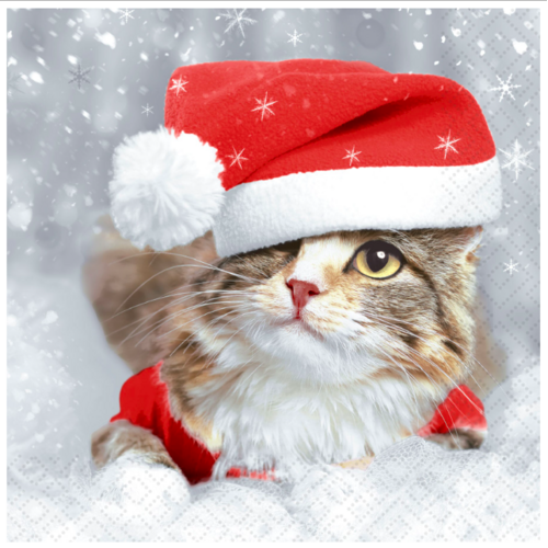 IHR Napkin Lunch Paper Kitten Christmas IHR Napkin Lunch Paper Kitten Christmas