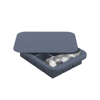 Everyday Ice Cube Tray