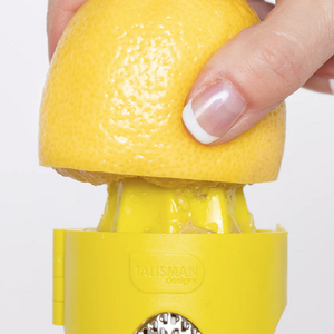 TALISMAN DESIGNS Citrus Zester and Reamer Juicer