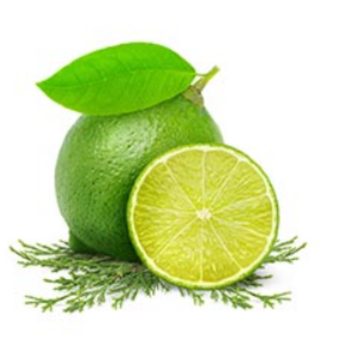 FRUIT & PASSION Cucina Dish Detergent Lime Zest & Cypress 500ml