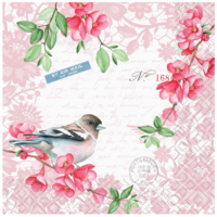 Napkin Cocktail Paper Sweet Bird
