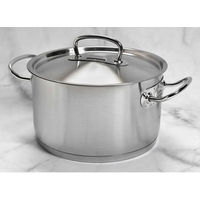 Proline Stainless Steel Stock Pot 10.2L