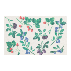 Now Designs Pop-Up Sponge Berries