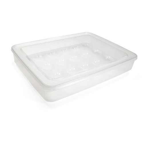 KITCHENBASICS Deviled Egg Carrier with Lid Holds 24 KITCHENBASICS Deviled Egg Carrier with Lid Holds 24