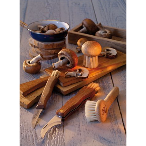 Redecker Mushroom Brush Long Handle