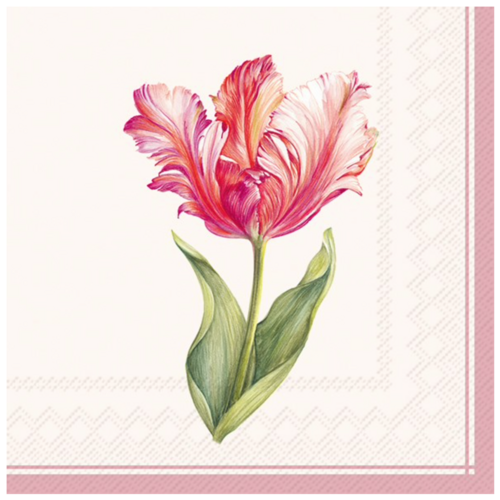 IHR Napkin Cocktail Paper Driselle Cream