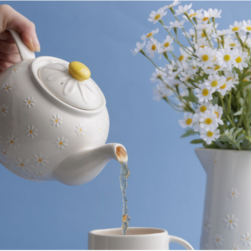 Price & Kensington Daisy Teapot 6 Cup Price & Kensington Daisy Teapot 6 Cup
