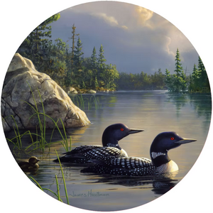 Jar Opener Gathering Storm