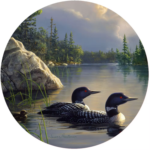 Jar Opener Gathering Storm